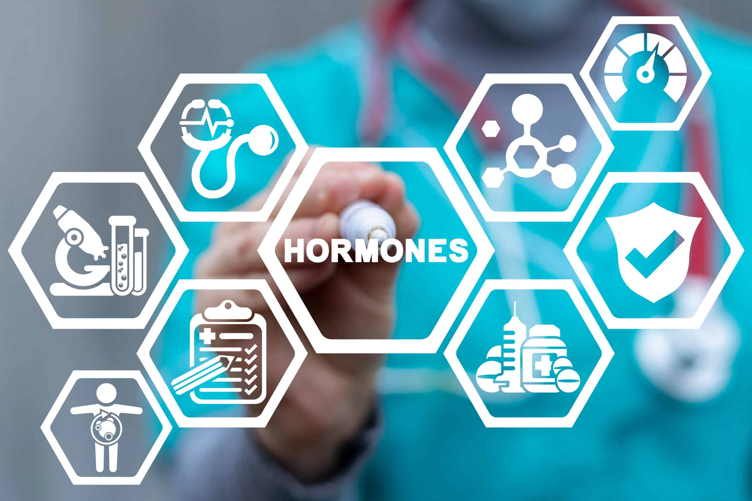 Medical,Concept,Of,Hormones.,Hormonal,Therapy.,Human,Healthy,Hormone,Balance.